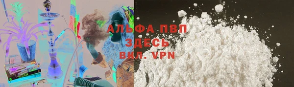 дмт Тавда