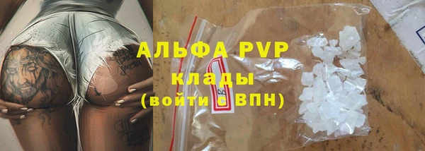 дмт Тавда