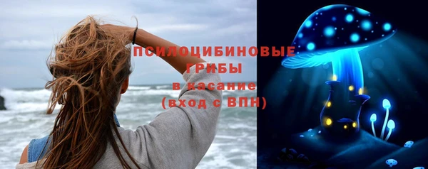 ALPHA-PVP Ельня