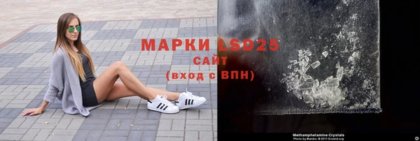 прущие грибы Сясьстрой