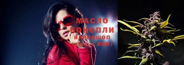 дмт Тавда